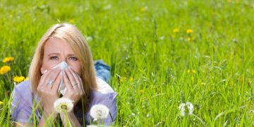The studies are in and specialists agree that Acupuncture can cure Hayfever